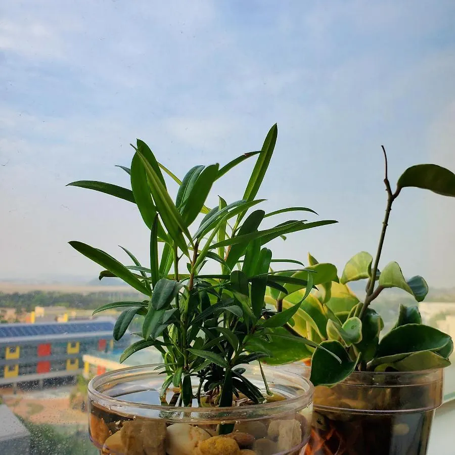 Apartment Cozy - Good Vibes Studio Incheon